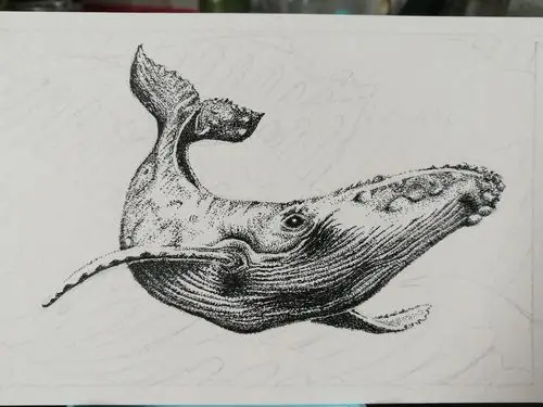 重画鲸