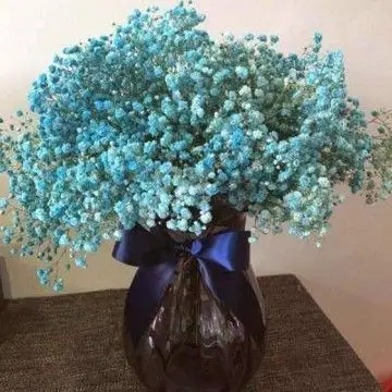 满天星头像高清图片 唯美满天星微信头像花束图片