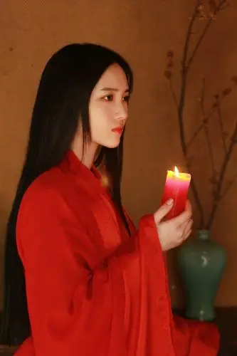 【写真】2015年红衣古风