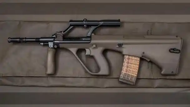 中国网友评价最高的无托步枪,澳大利亚f90mbr有什么亮点?_网易订阅