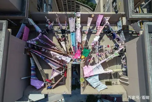 久违的艳阳天,晒被子大爆发,你赶在太阳流浪前晒好了吗?