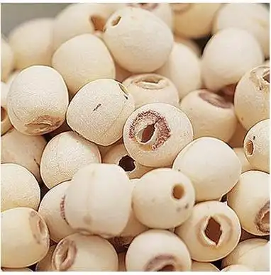 莲肉(莲子的一个别名)_尚可名片