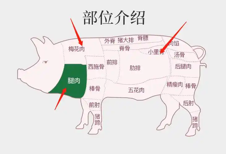 猪肉哪个部位最嫩 猪肉哪个部位最嫩最好吃