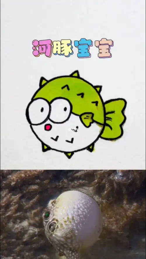 河豚宝宝简笔画