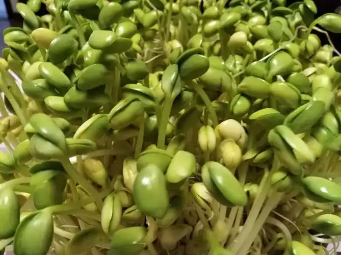 小朋友们自己动手