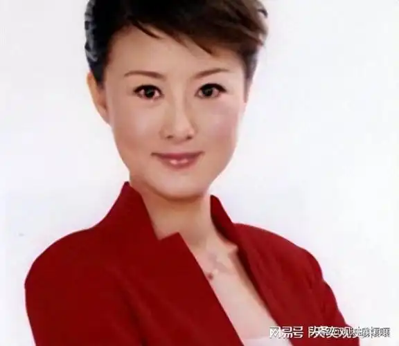上海电视四大金牌新闻女主播各个主持功力不凡但无一上海本土