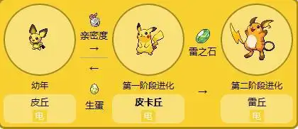 评论|  2013-10-28 20:48 夏瓦戈|三级 皮丘进化成皮卡丘  皮卡丘用雷