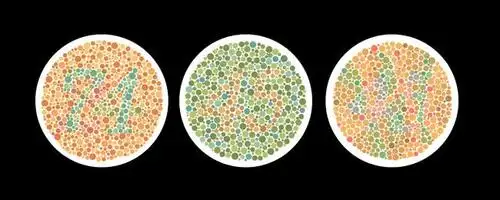 (色觉正常者眼中的红绿灯&红绿色盲者眼中的红绿灯)