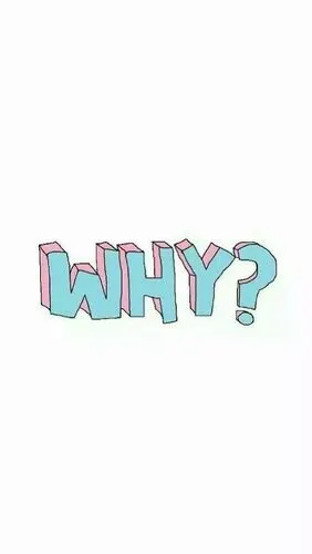 简约why英文壁纸问号