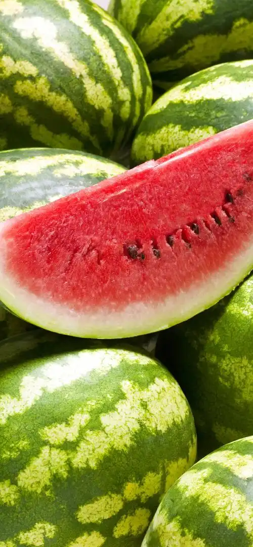 高清壁纸无水印#凉爽的西瓜壁纸,来一起吃瓜