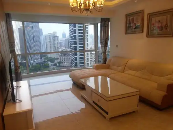 内环内精装两房,高区景观房,小区中心位置,源深体育中心对面!