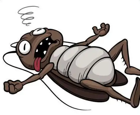 小强繁殖能力强,生命力也很强,再加上会飞,会游泳等等技能,可以说是最