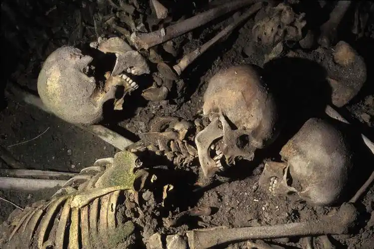 骨骼,无人,横图,俯视,室外,白天,火山,意大利,欧洲,许多,遗迹,骨头