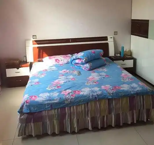 东北农村花20万建一层小平房,虽然不大不华丽,但充满家的味道