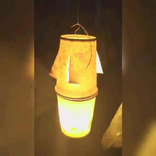 【手工】用纸杯做一个走马灯!