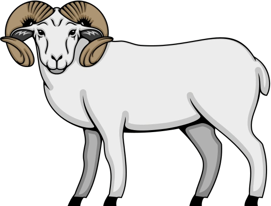 有两只角的公羊素材