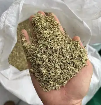 茴香籽调料饭店食堂