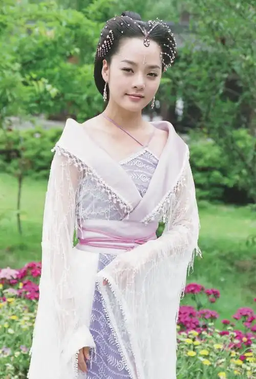 蔡琳《新醉打金枝》