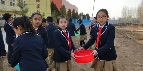 山西左权思源实验学校开展我为校园添新绿活动