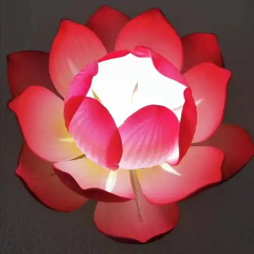 花灯荷花led舞蹈表演道具手拿花佛供莲电池荷花灯