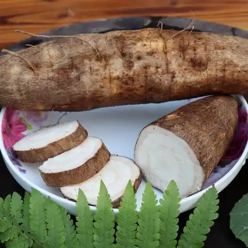 山水恋新鲜粉葛根现挖广西葛根无渣粉葛煲汤食材葛根