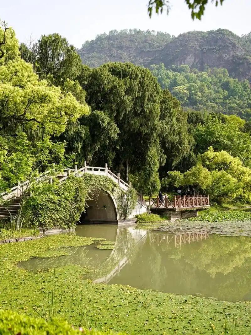 黄岩九峰公园|天然氧吧 小时候就去过的公园,树木非常的繁茂,天然氧吧