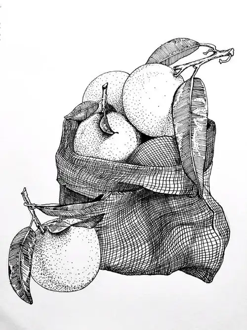素材来源:@大白兔#线描#黑白线描#画画#水果#静物写生#橘子#写生#每日