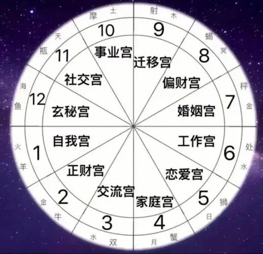 12宫位代表的含义