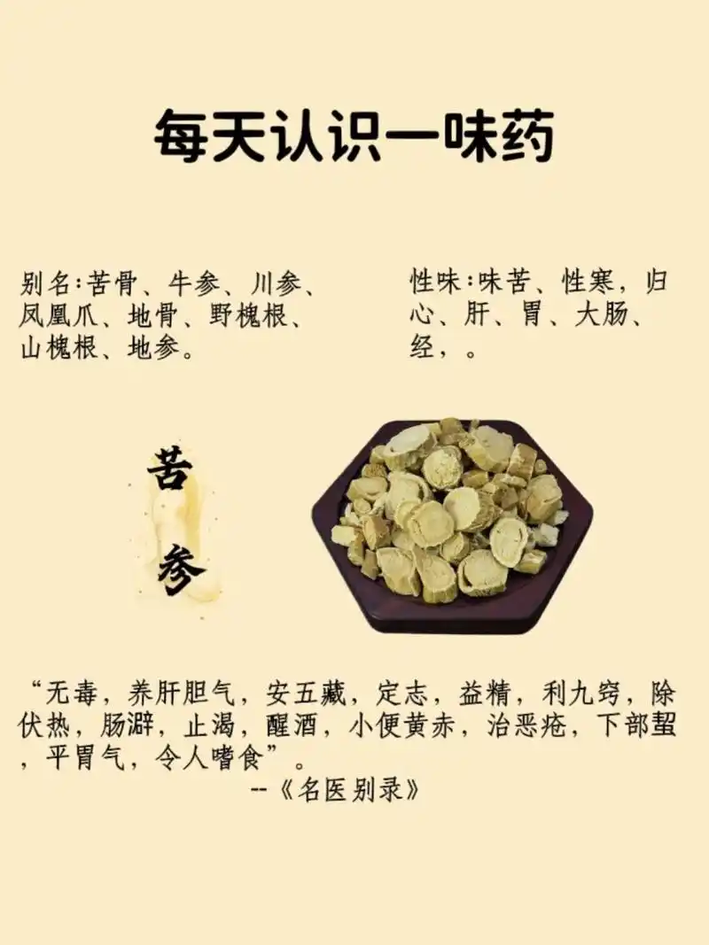 每天认识一味药--《苦参》 7415功效与作用: 具有清热燥湿,杀虫