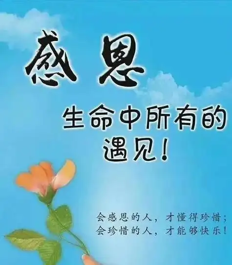 感恩遇见的话语 暖心 简短_感恩遇见的话语暖心简短朋友圈
