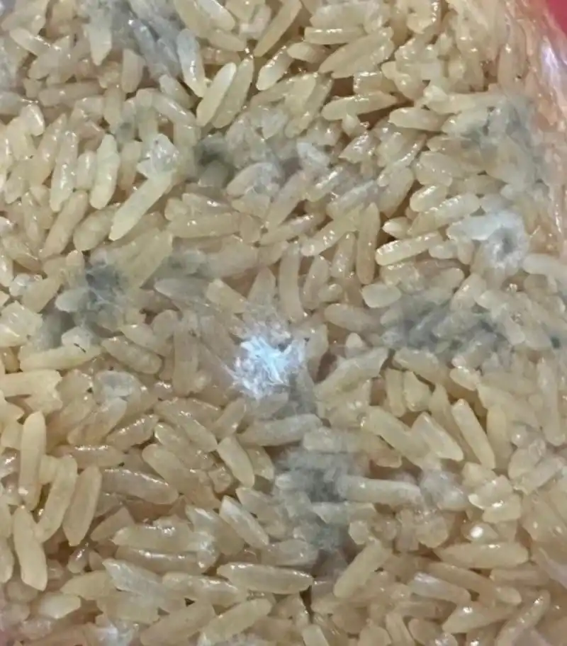 米饭都发霉了,婆婆还要给孩子吃,这可怎么办啊