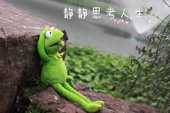 芳华影评(芳华)影评