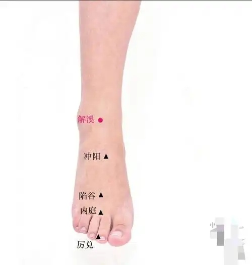 足阳明胃脉所行为经火,胃虚补之.