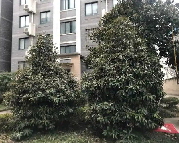 碧水兰庭西区小区详情,房价走势,房源,业主论坛】- 丹阳58同城