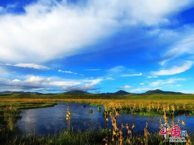厚植草原生态底色 勾勒色达绿色发展新画卷 - 甘孜州 - 中国网·锦绣