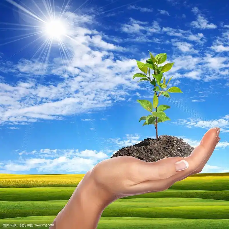 双手捧着嫩芽和晴朗的天空