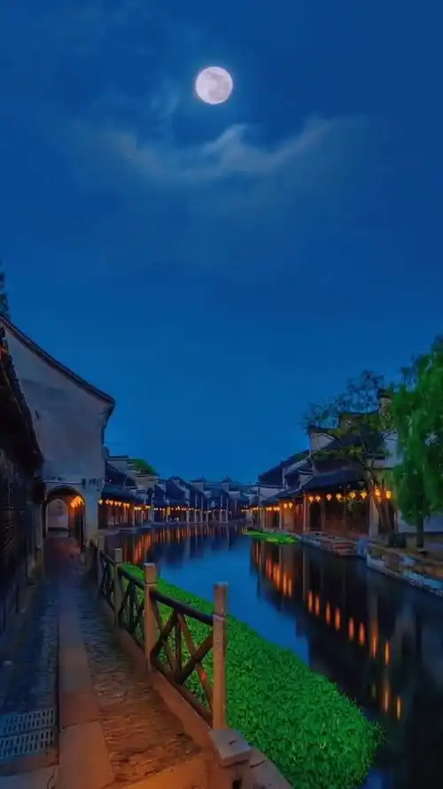 你在月光下见过什么样的景色