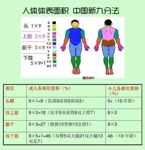 你不知道,商业保险中"iii度烧伤"原来是这样