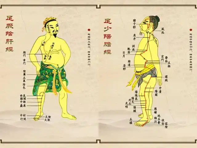 肝主春,春季宜养肝!抓住时节,这样做滋阴养肝,补气血!