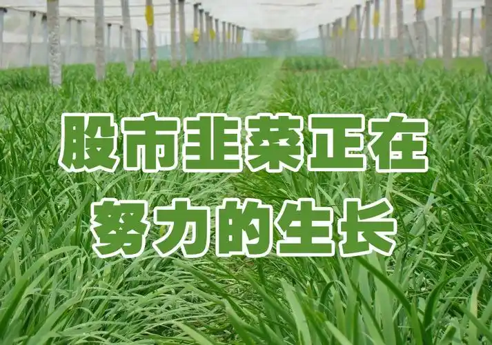 股市疯涨,金融银行疯,保险券商疯,最后疯狂的接盘侠为市场买单_韭菜