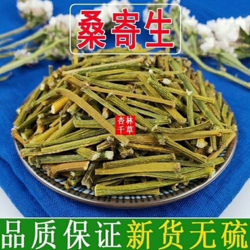 云南野生中药材桑寄生 绿寄生深山野寄生寄生茶新鲜干货包邮正品