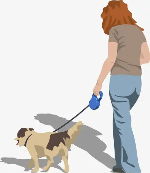 牵着狗的女人插画