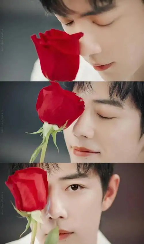 肖战最新广告大片合集:roseonly,双立人,陌森眼镜,京东电器