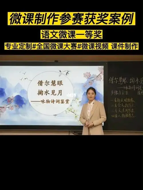 微课制作一等奖小学语文真人出镜微课获奖