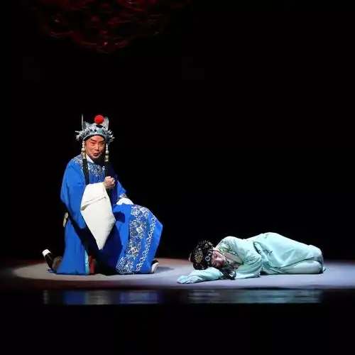 国庆看国粹 | 《狸猫换太子》(上)演出圆满