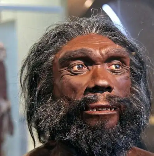 能人生活在距今约210万年到175万年前,工匠生活在距今约180万年到130