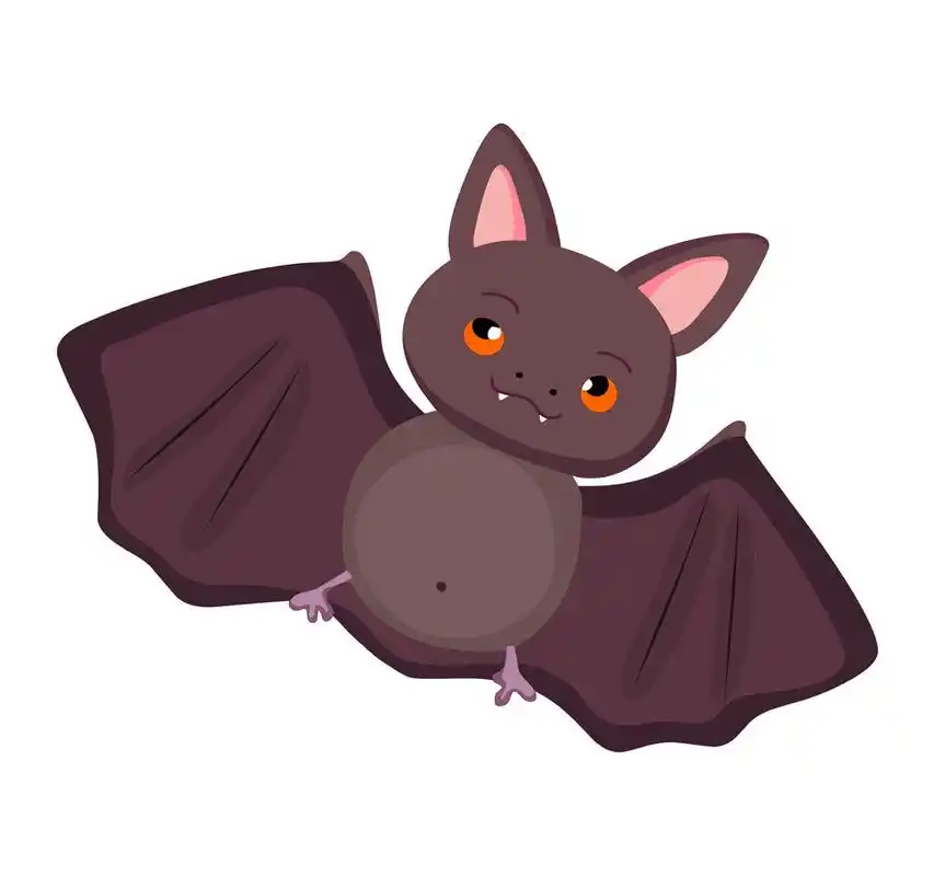 蝙蝠,好可爱的动物插图