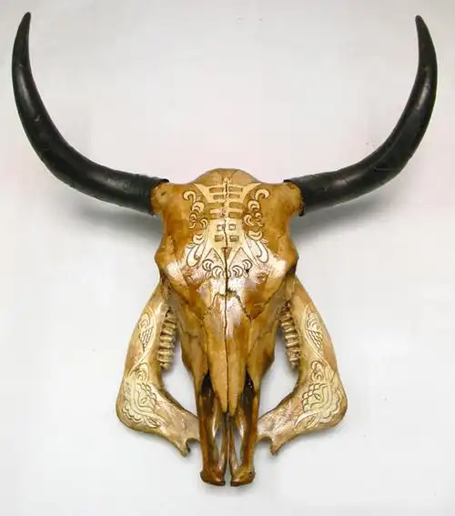 特价 天然真头骨 牦牛头骨标本挂件 牛头骨 特色工艺品 装饰摆件