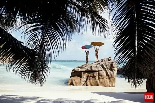 阳光沙滩下的冲浪比基尼