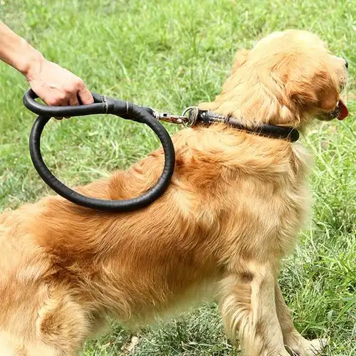 中大型犬狗链子狗狗牵引绳金毛拉布拉多皮质狗链子宠物项圈